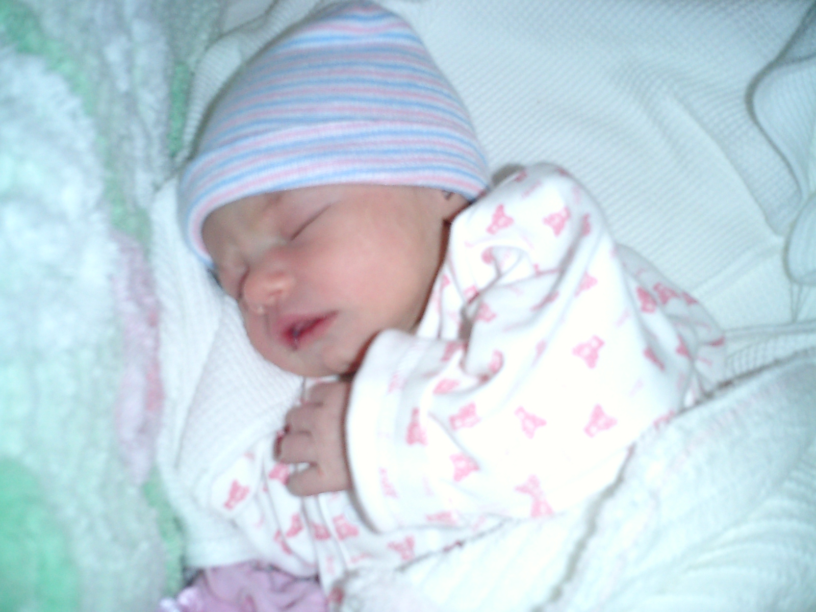 stella006.jpg